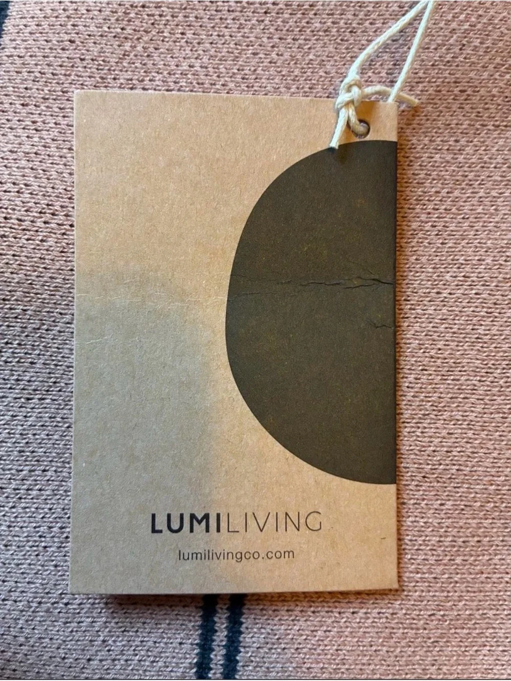 Lumi Living NWT Pillow Case